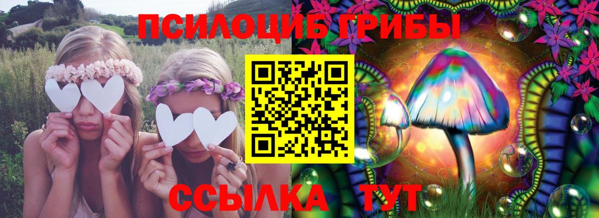 Псилоцибиновые грибы мицелий Вичуга