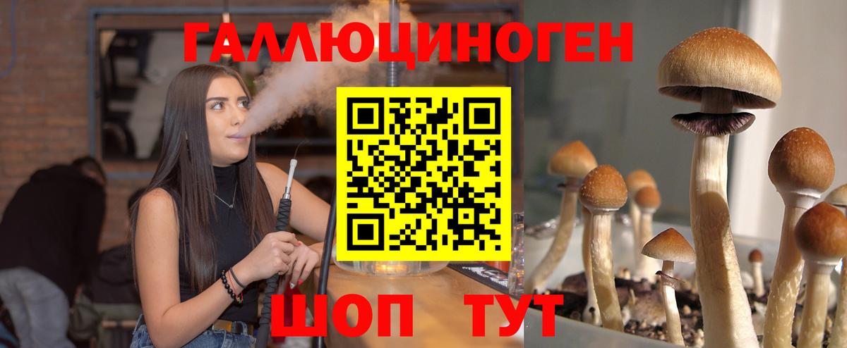 Вичуга  Псилоцибиновые грибы прущие грибы  Вход с VPN 