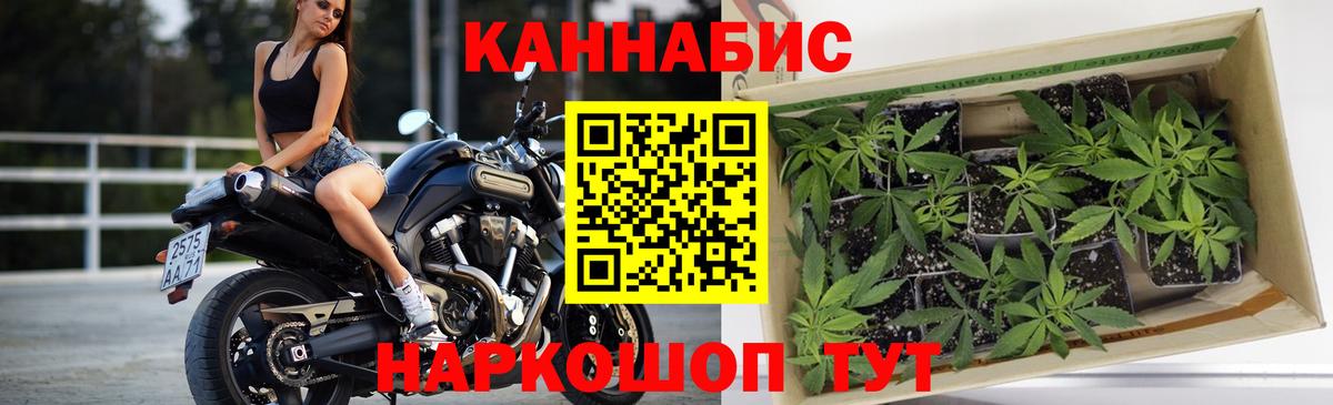 Вичуга  МАРИХУАНА тримм  Марихуана Ganja  Вход с VPN  Шишки марихуана SATIVA & INDICA 